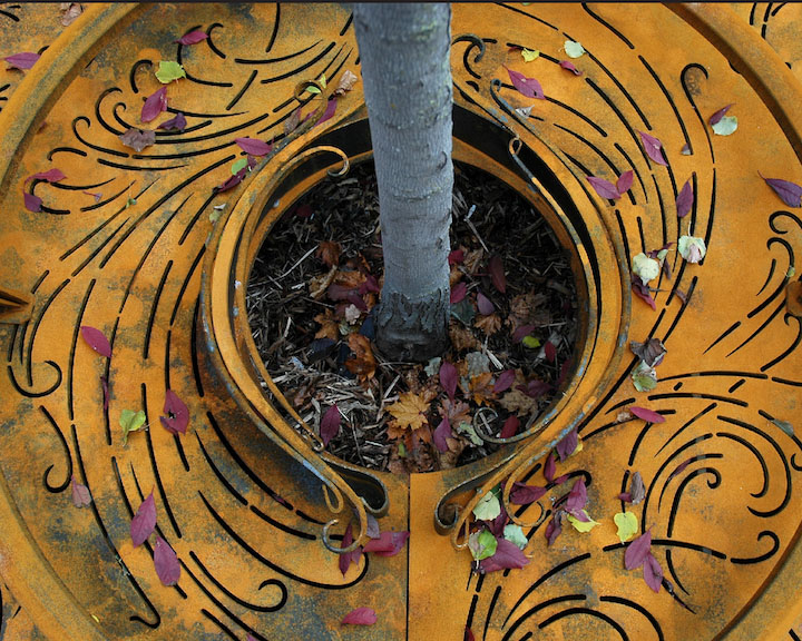 tree grates: Downtown Minneapolis, MN