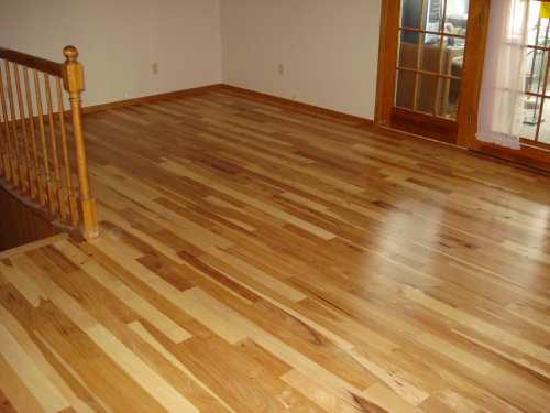 Hickory