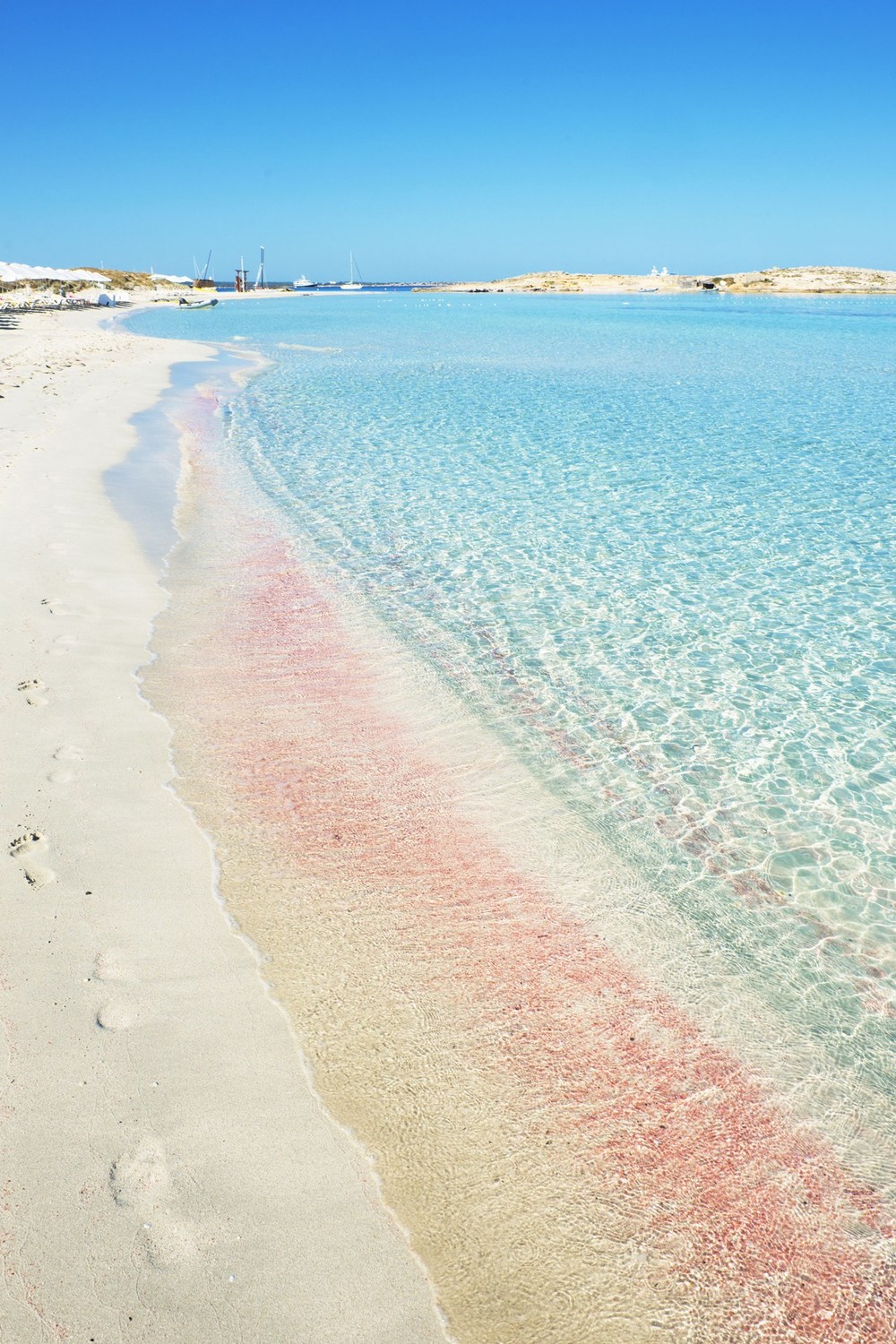 Beach Image Pink and Blue