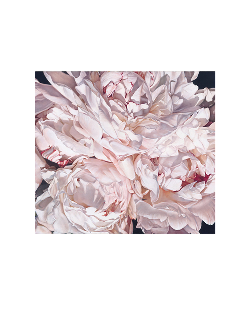 Peonies wall mural