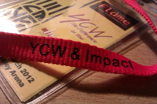 YCW and Impact.jpg