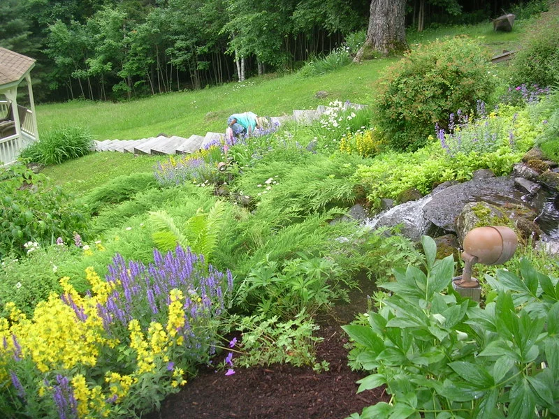 Beautiful Reading, Vermont