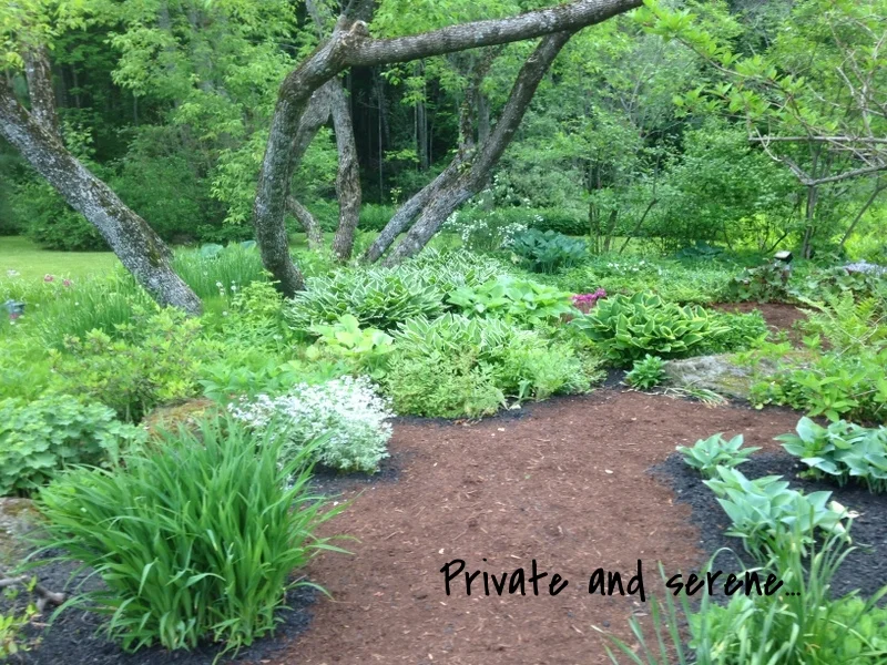 A secret oasis in town....