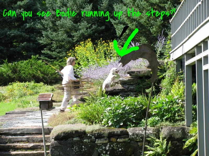 Gardens in South Woodstock, VT