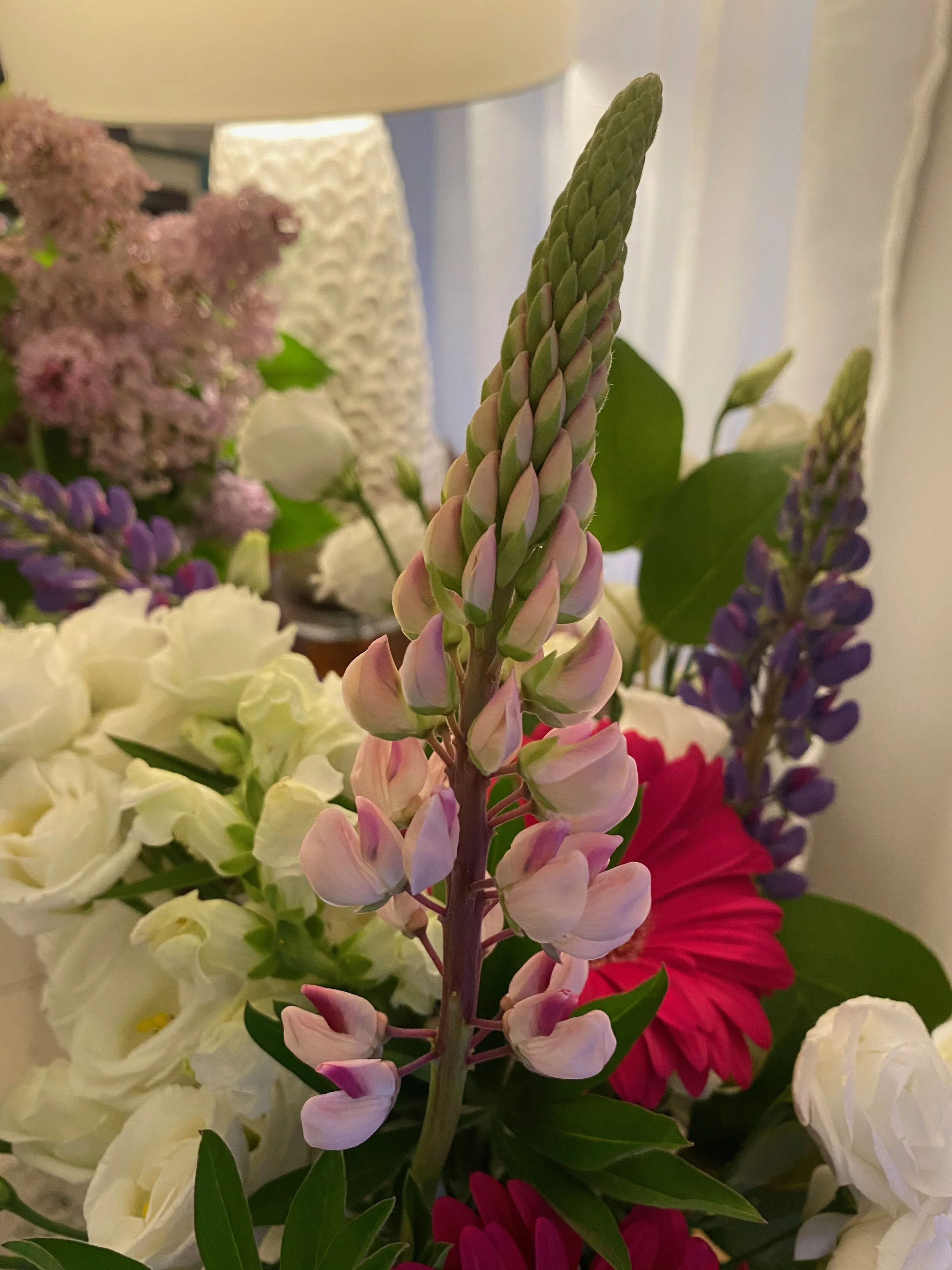 IMG_9071.jpeg