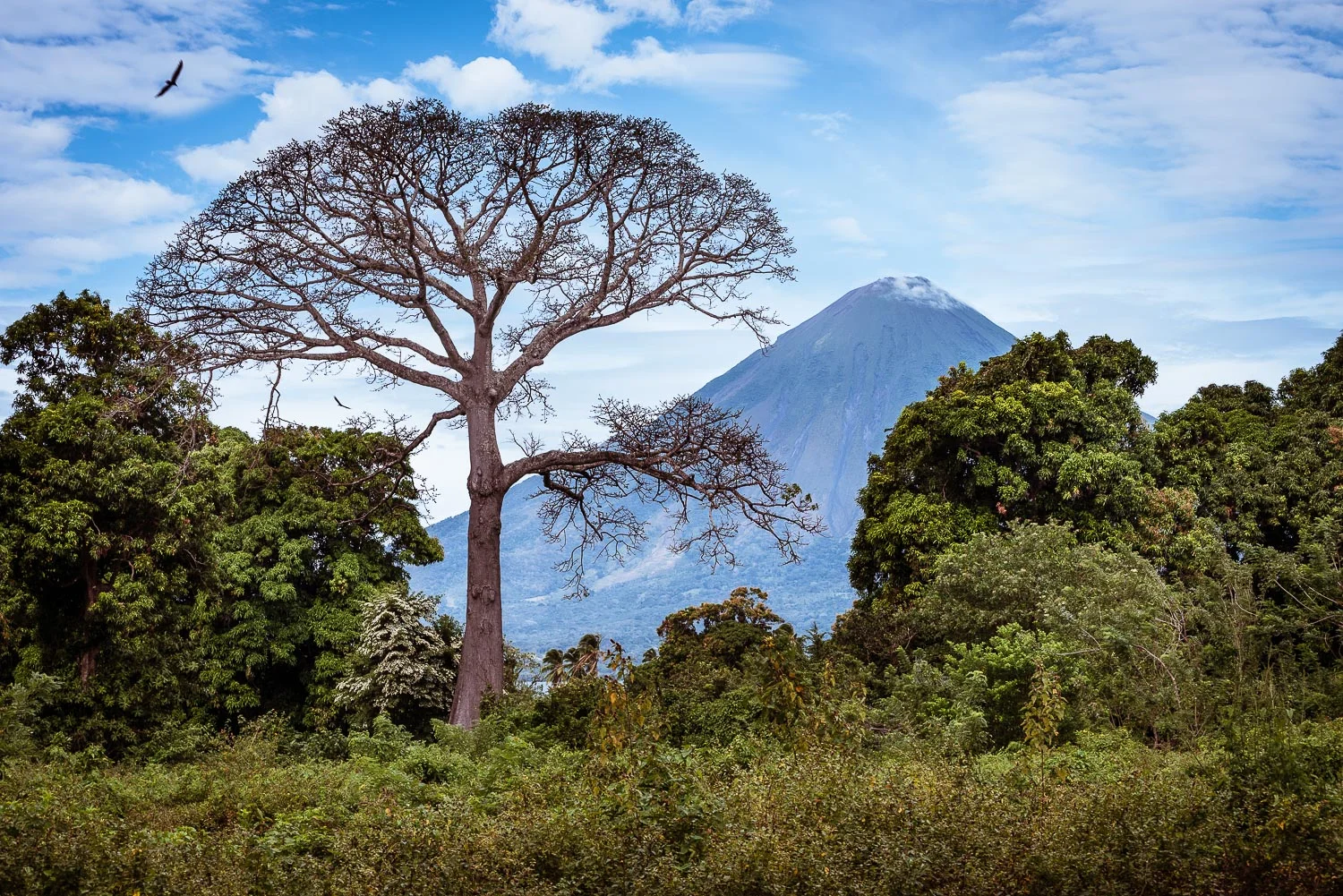 pedrogsaez-landscape-nicaragua-1 copia.jpg