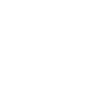 icons8-presentation-100+(1).png