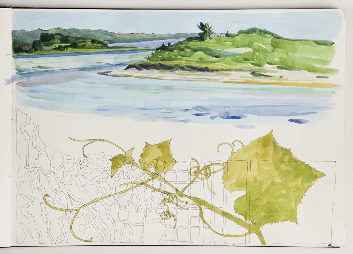 Acrylic, Watercolor, and Gouache on Paper 2014