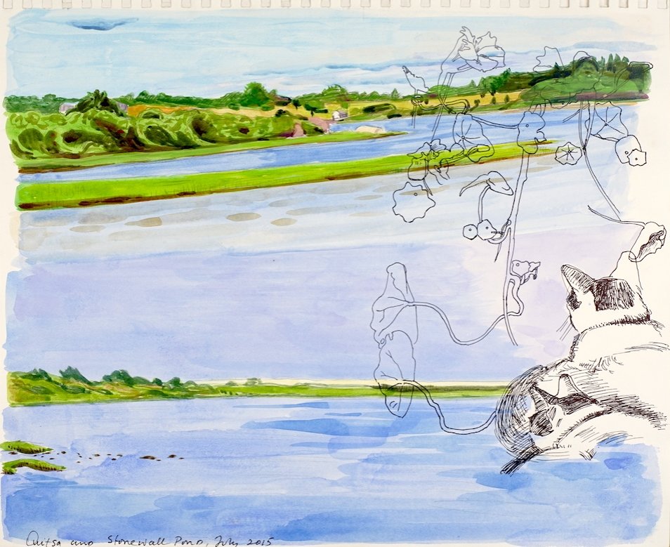  Vineyard Sketchbook 2015  Acrylic, Gouache, Pen, and Pencil on Paper  14” x 17” 