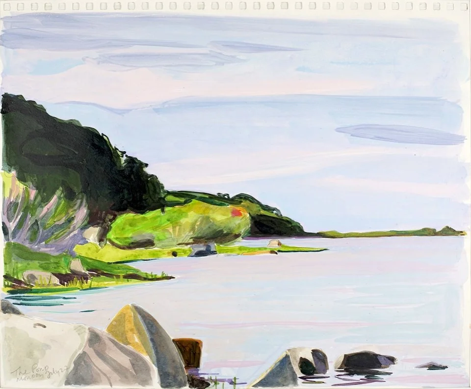  Vineyard Sketchbook 2015  Acrylic, Gouache, Pen, and Pencil on Paper  14” x 17” 