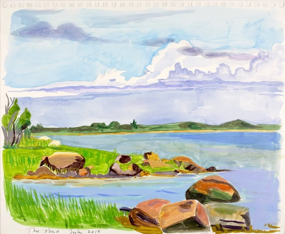  Vineyard Sketchbook 2015  Acrylic, Gouache, Pen, and Pencil on Paper  14” x 17” 