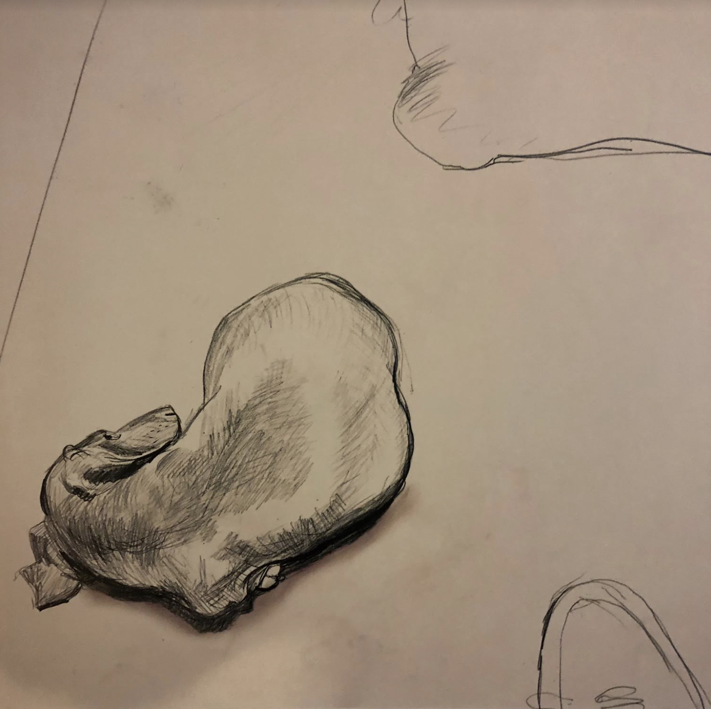 Zoom Drawing: Developing a daily practice. Movement in Drawing.