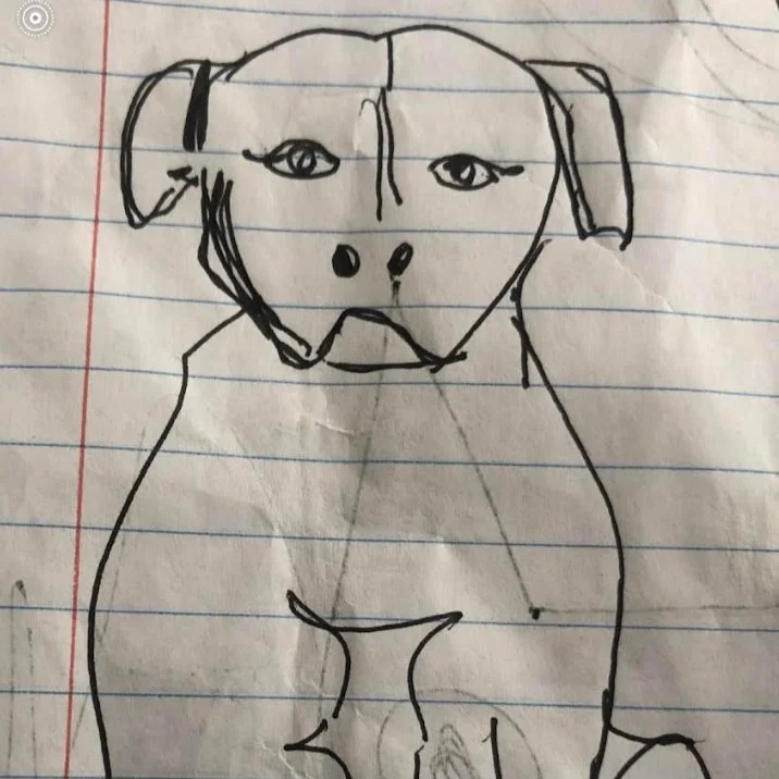 Basic Drawing Methods!
