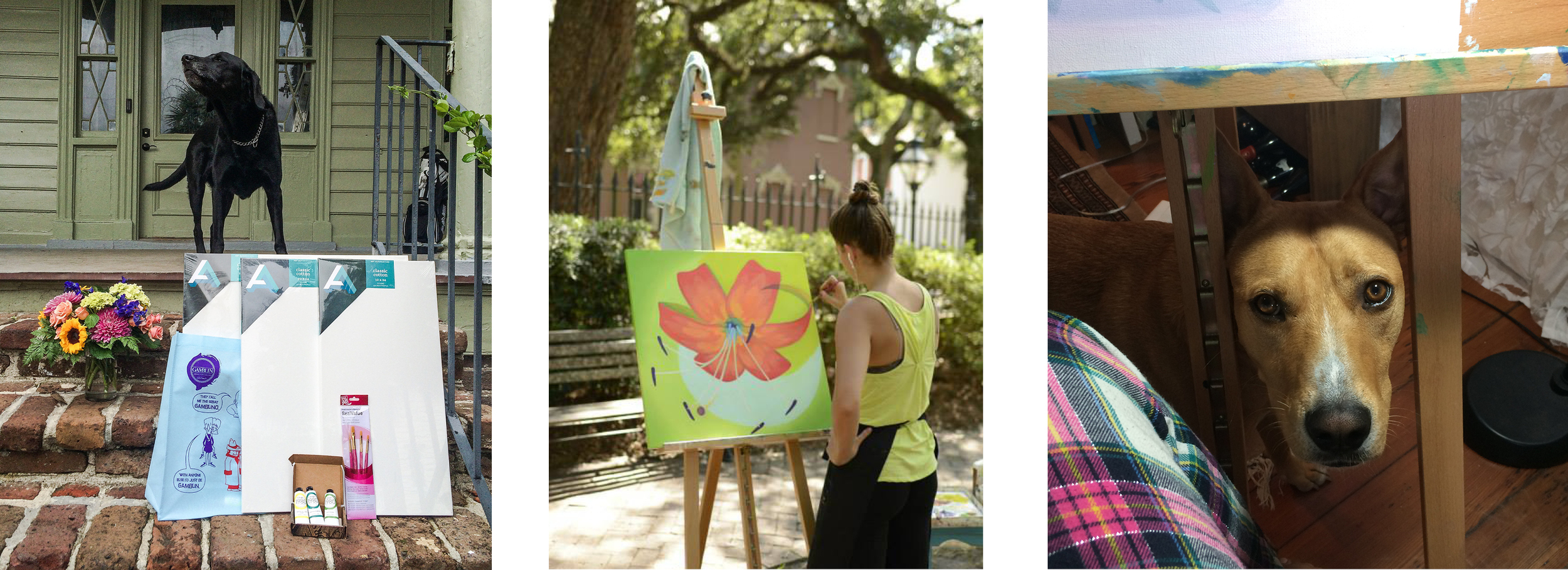 a few pics of my studio assistants and I hard at work...