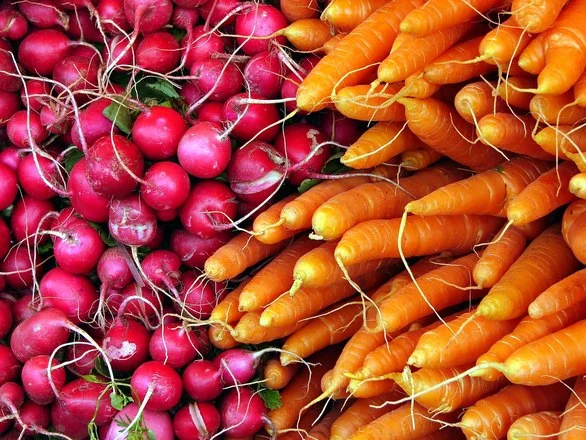 radishes.png