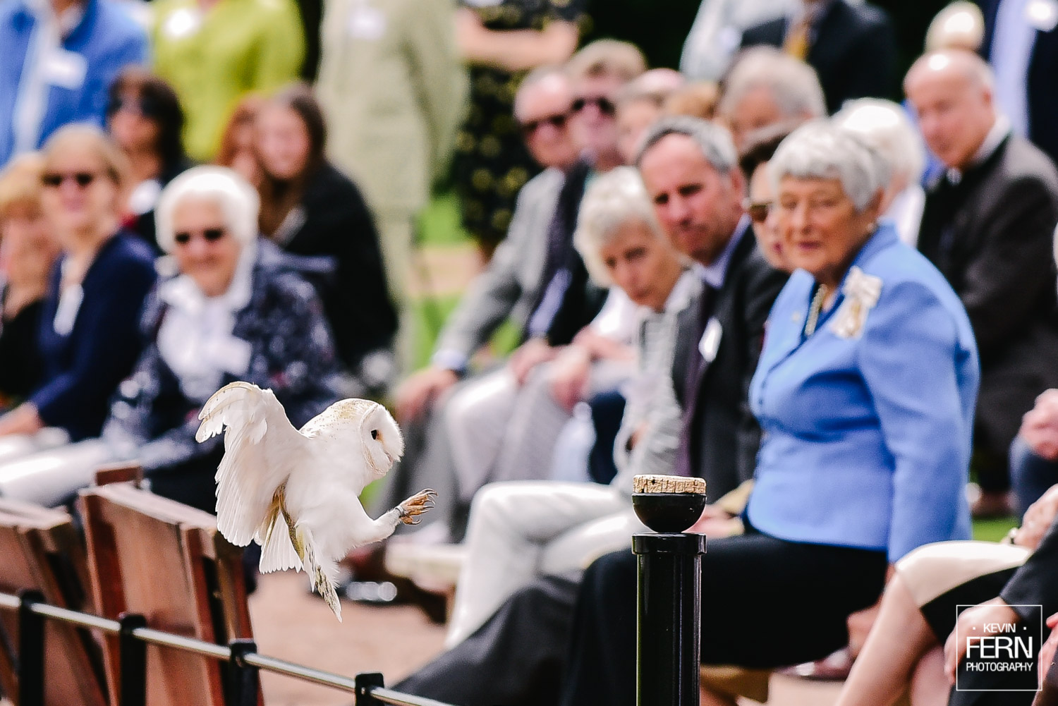 hrh-princess-anne-bird-of-prey-newent-event-2.jpg