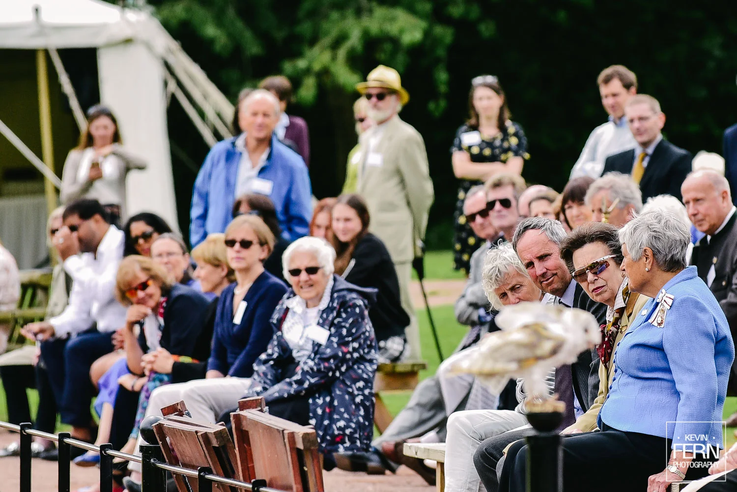 hrh-princess-anne-bird-of-prey-newent-event-6.jpg
