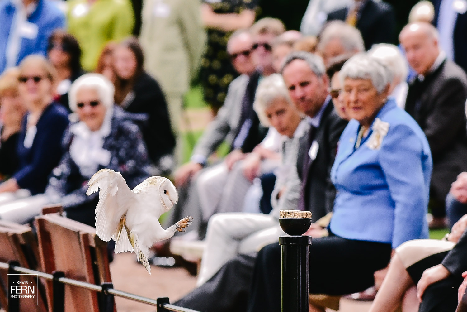 hrh-princess-anne-bird-of-prey-newent-event.jpg