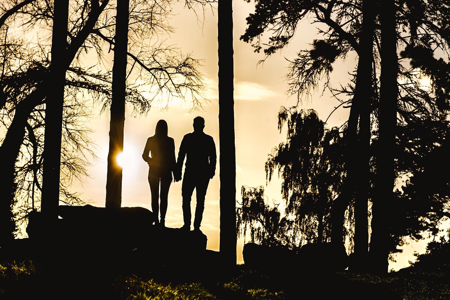 engagement-shoot-pittville-trees-silhouette_.jpg