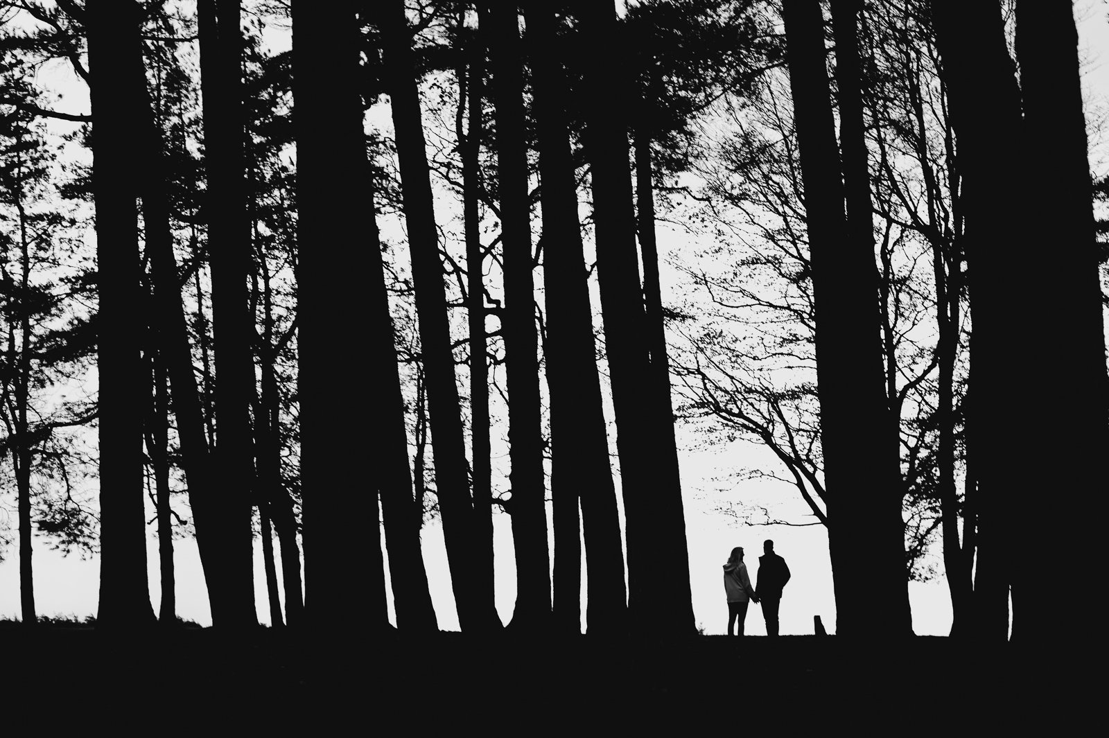 gloucestershire-silhouette-engagement 2.JPG