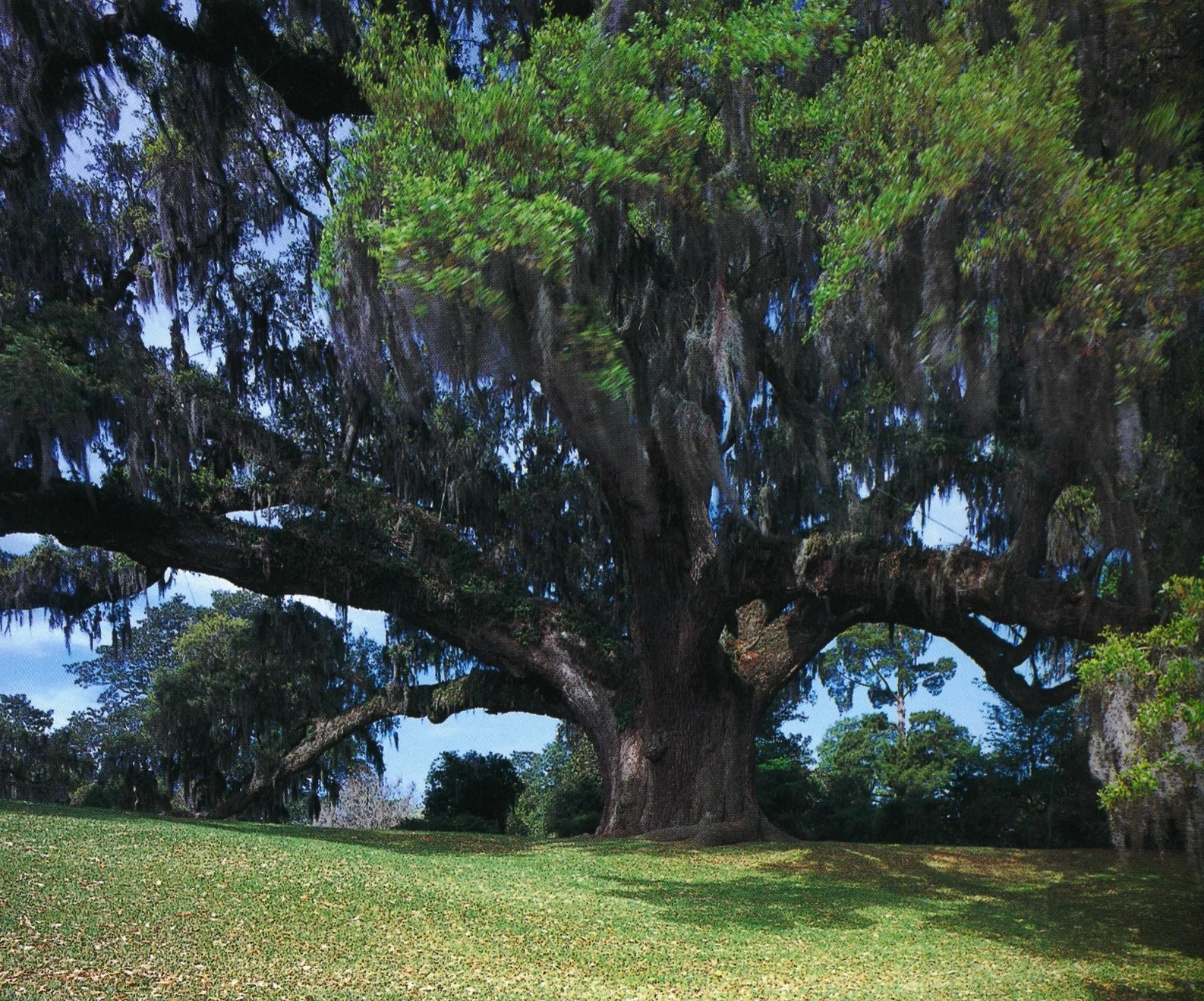 Image via Houses of the Founding Fathers The Federal Era, p. 215 Hugh Howard, photography by Roger Straus III Artisan, New York. 2007.