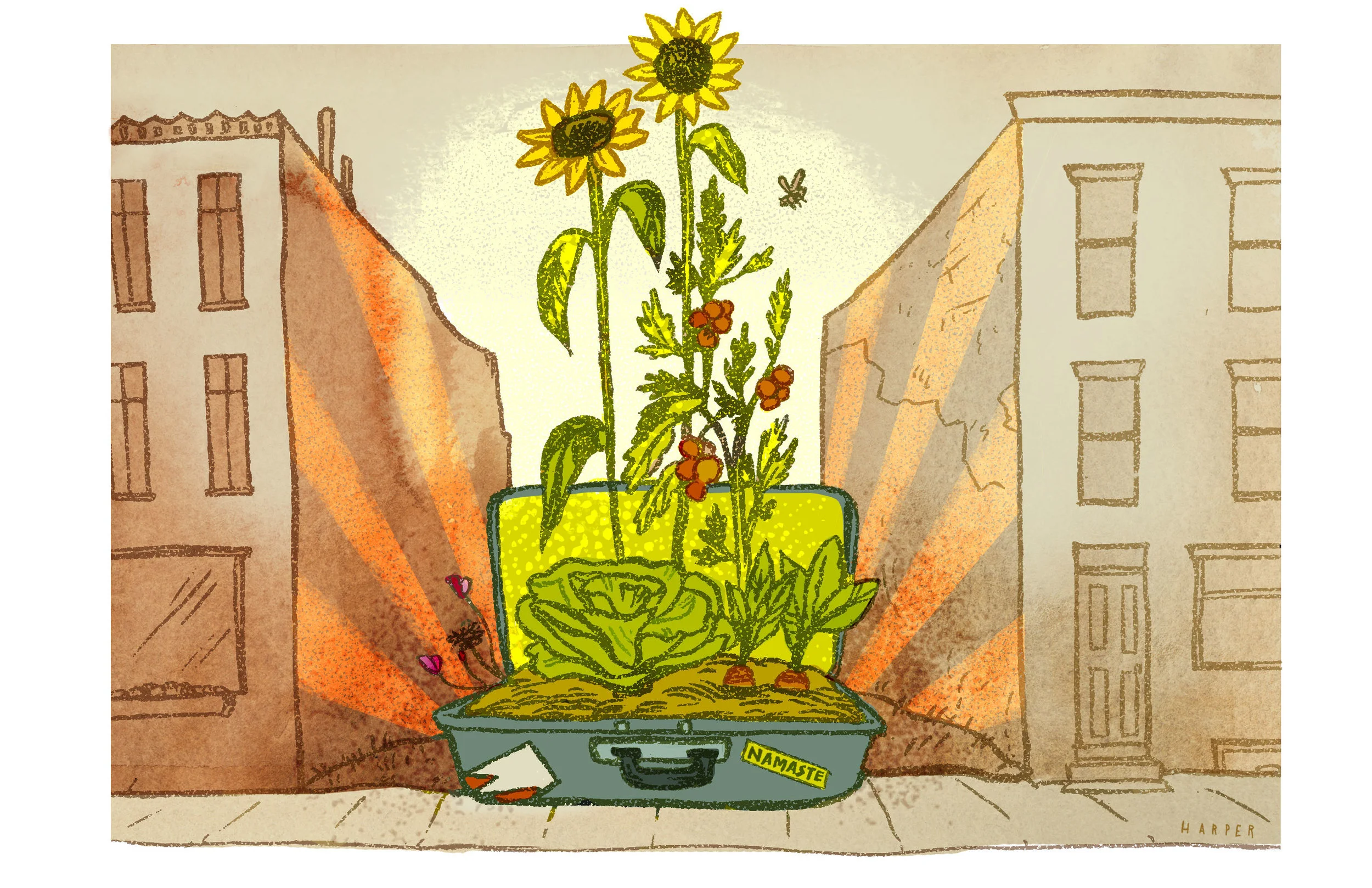 "Nepali Urban Gardens" for GRID Magazine