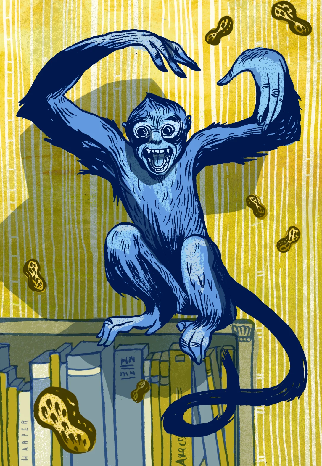 Monkey.jpg