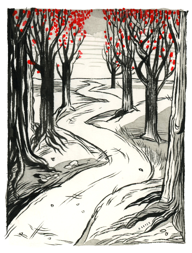 Autumn Path