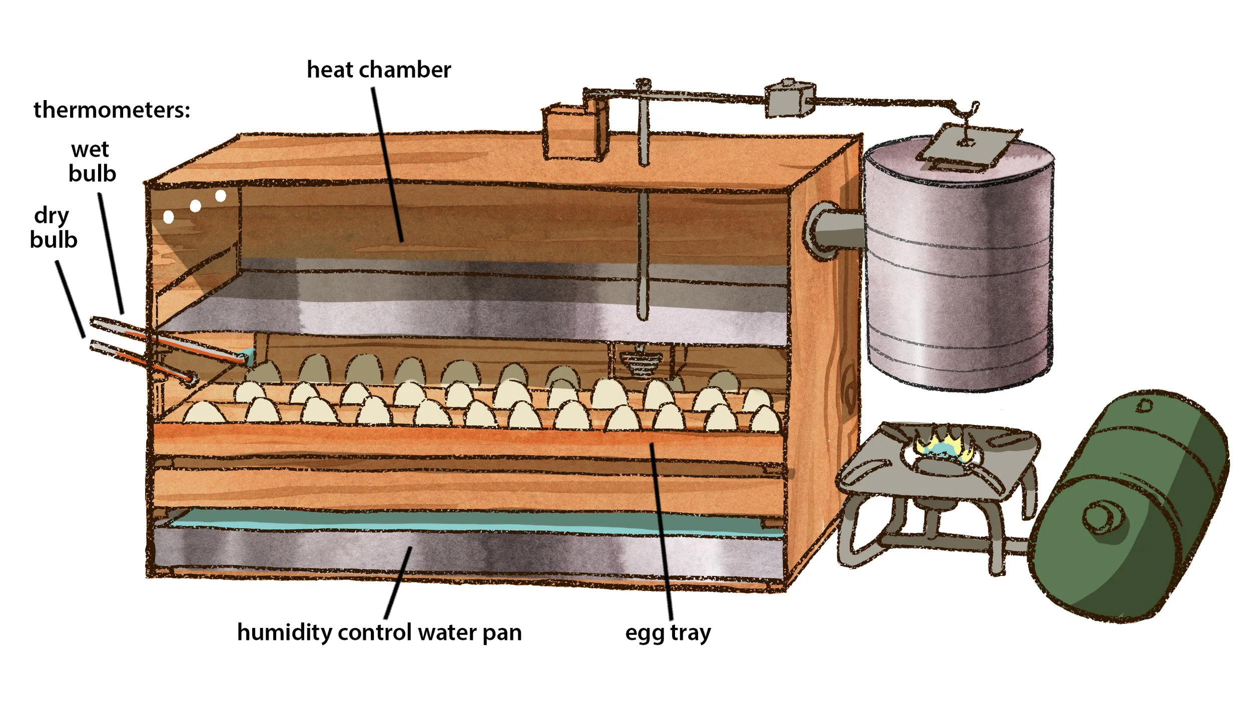 For Peace Corps manual on Poultry Raising