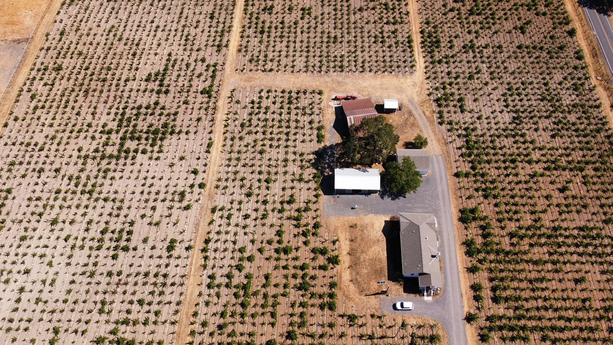 Mansani Ranch Mancini Ranch — Reichwage Winery