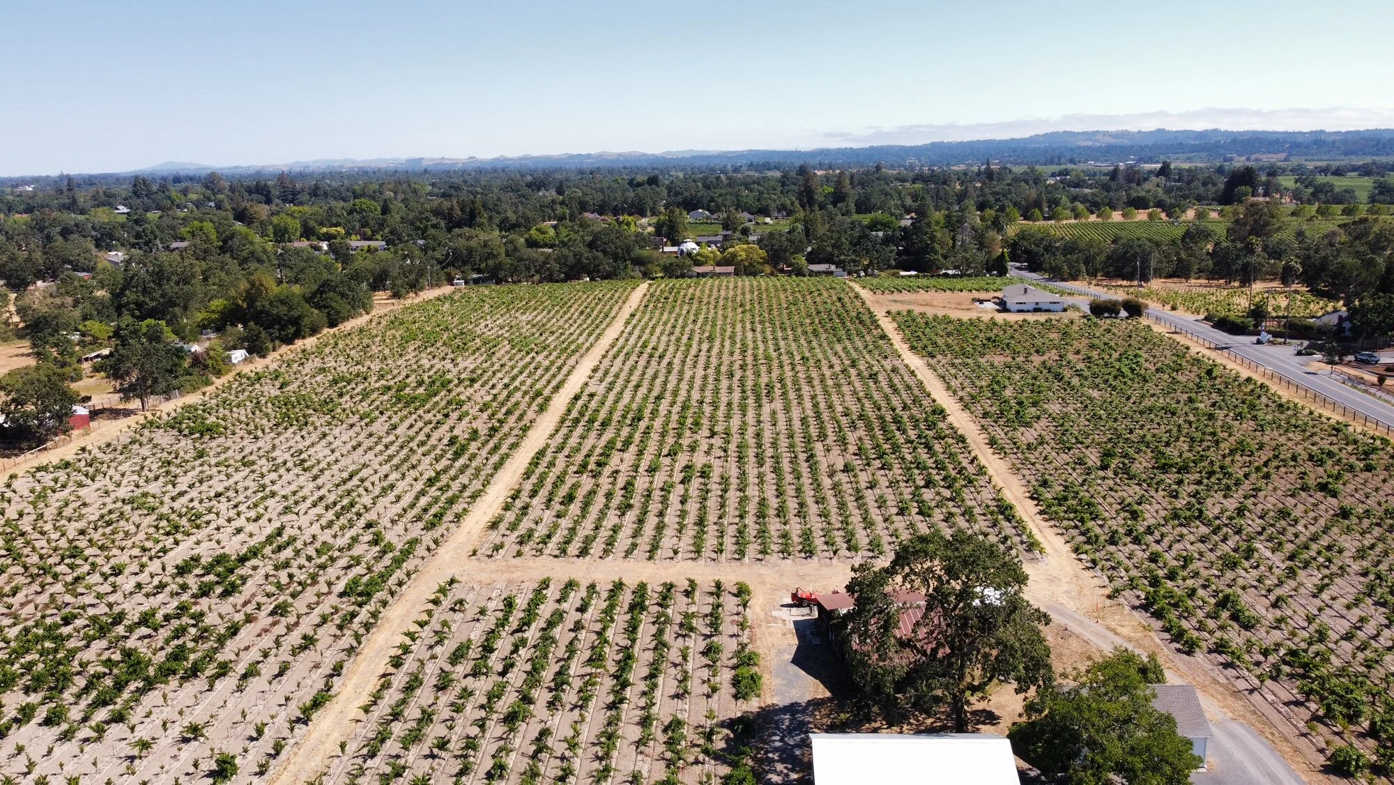 Mansani Ranch Mancini Ranch — Reichwage Winery