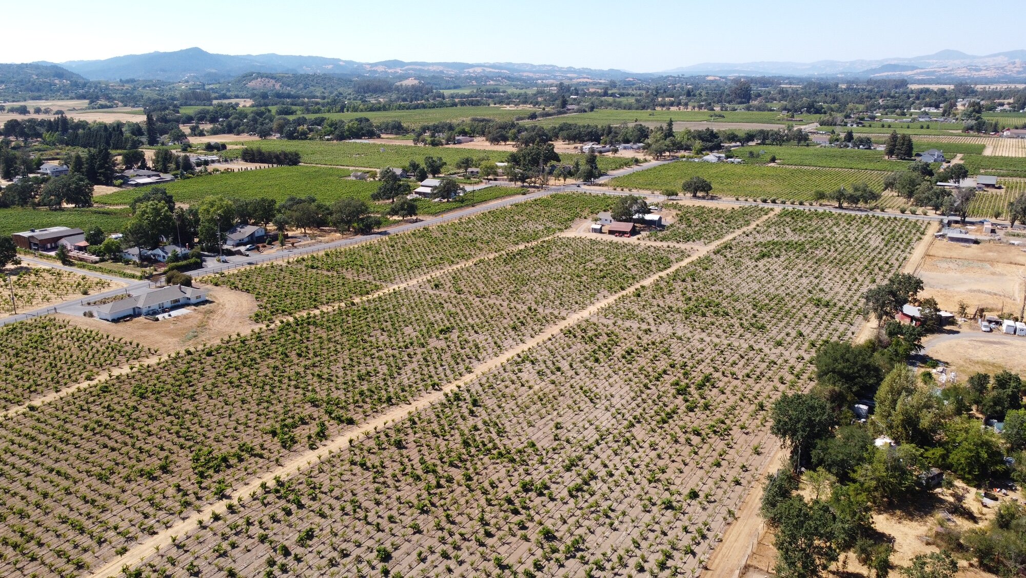 Mansani Ranch Mancini Ranch — Reichwage Winery