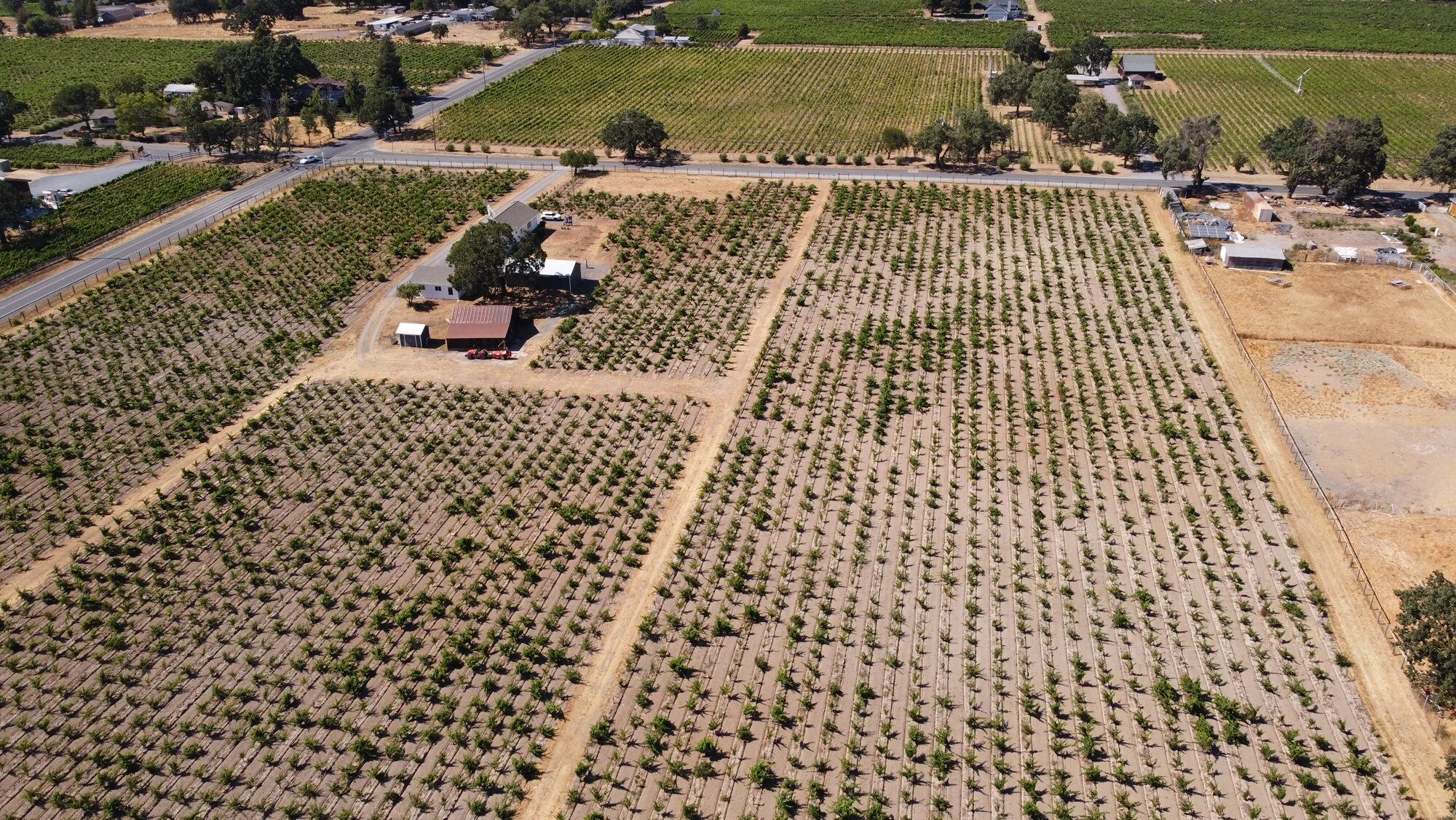 Mansani Ranch Mancini Ranch — Reichwage Winery