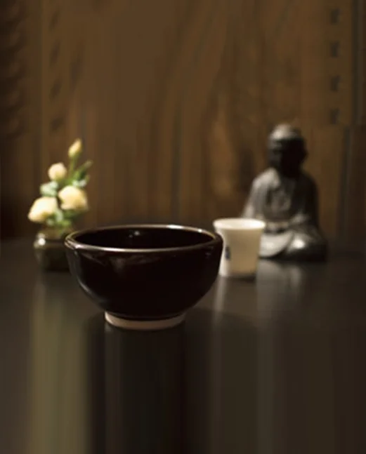 Wednesday Morning ZOOM Sitting with Ryo: Click Here for More Information    