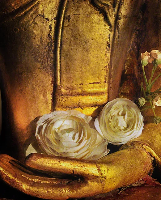 Walking the Way of Buddhism: the Practice of the Paramitas Class 2