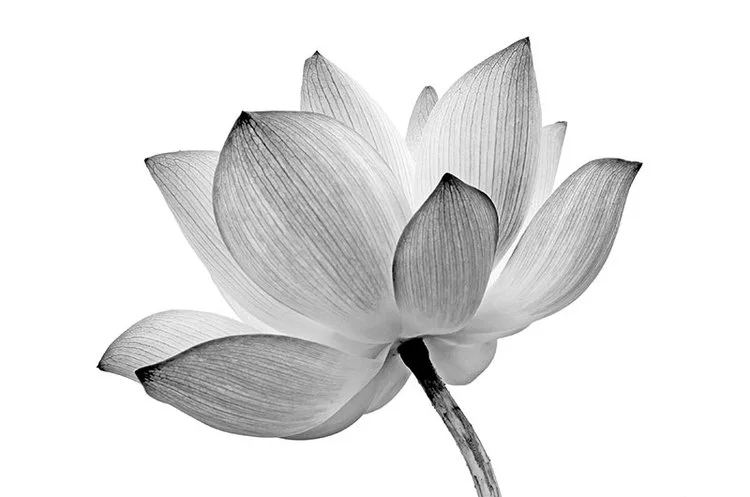 Well-being ceremony