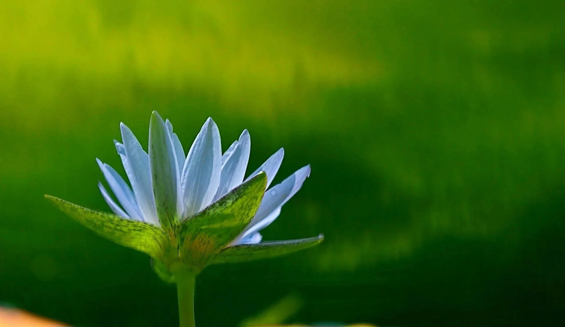 Wednesday Evening Beginner's Night Introduction to Zen Practice - Doors open at 7:10 pm. Arrive by 7:20 pm.