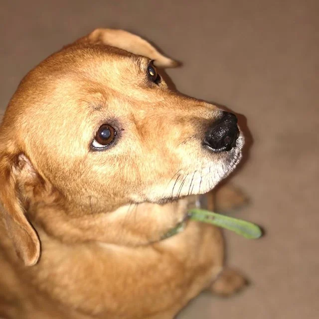 Paparazzi shot of Chelsea