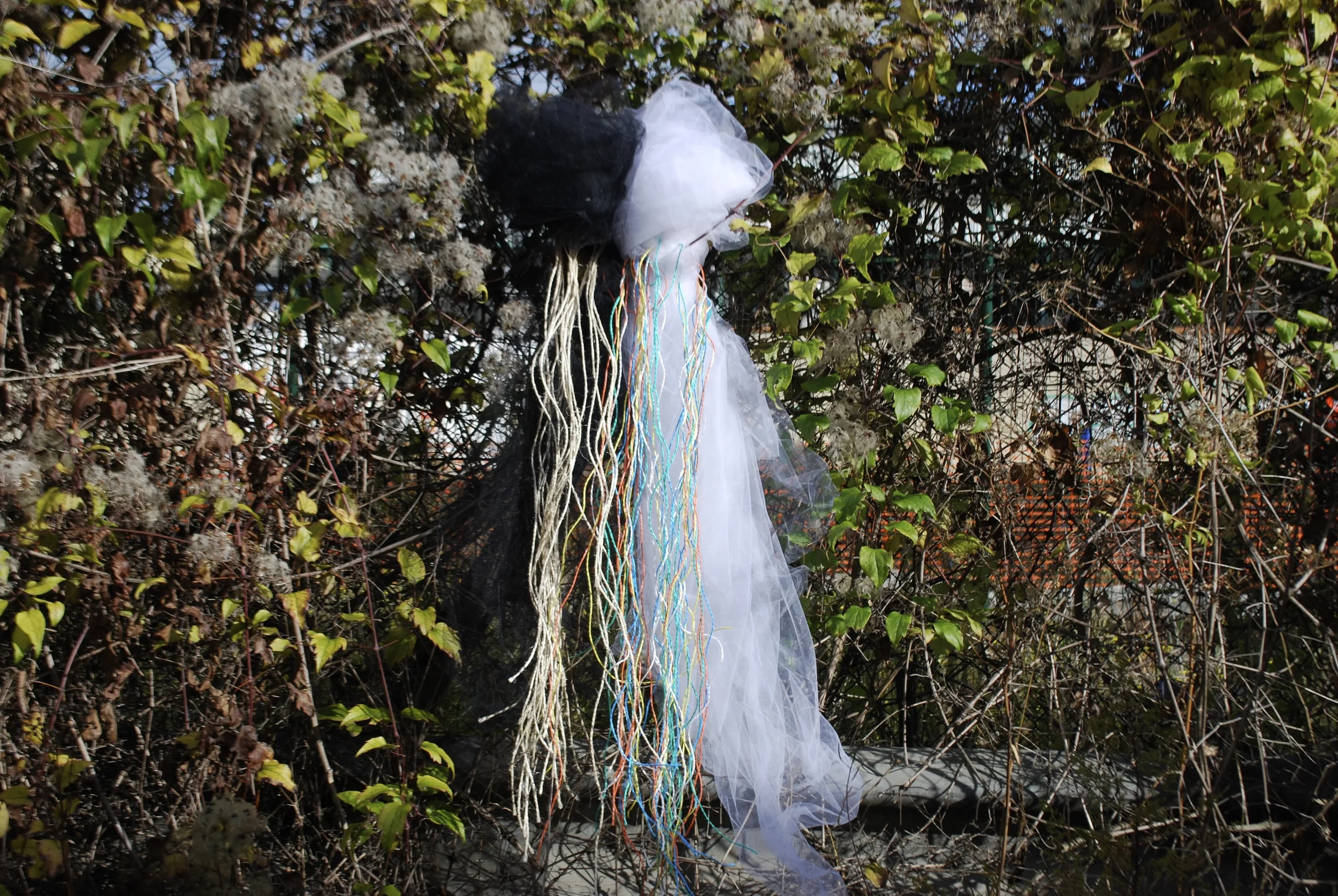 DSC_0795.jpg