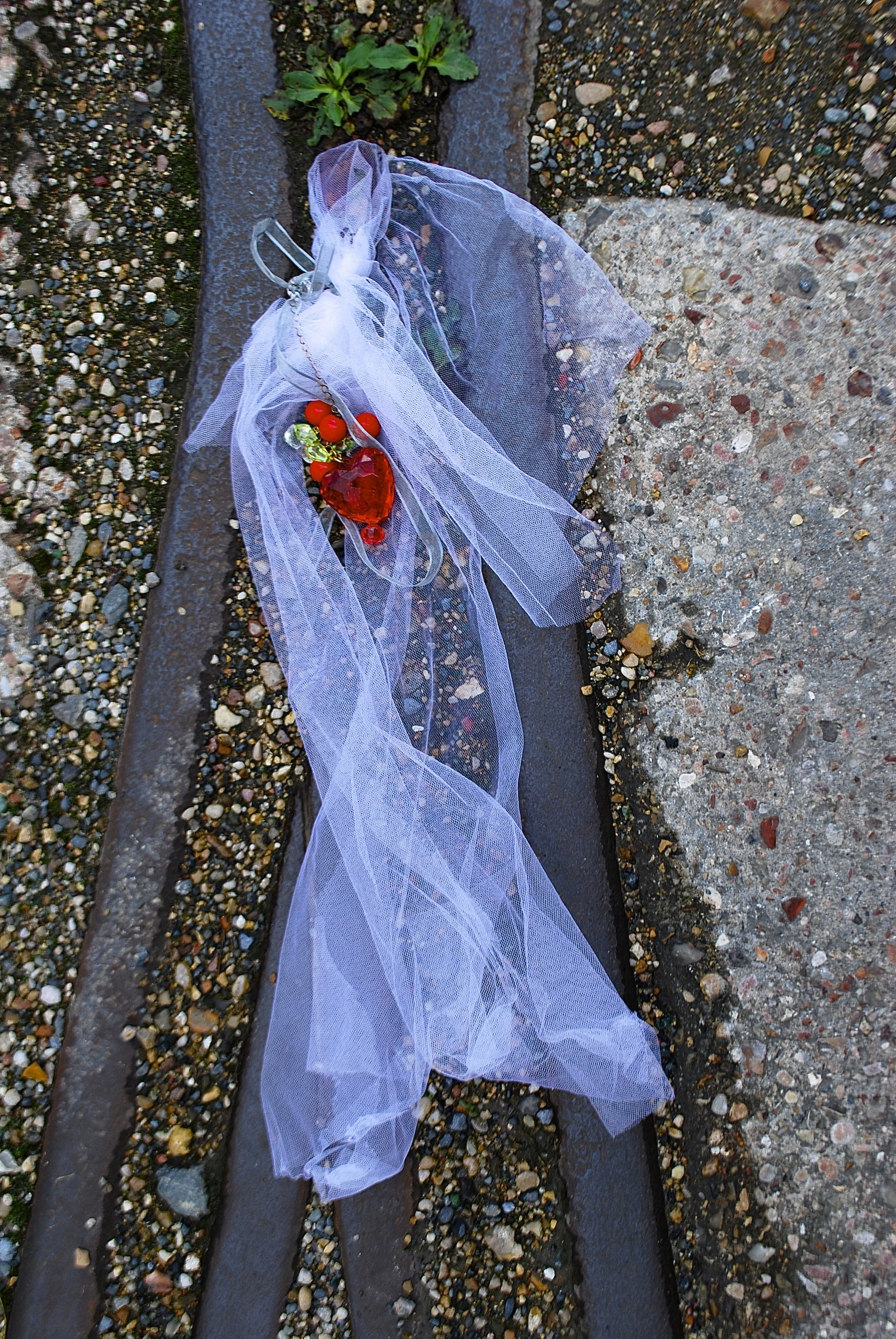 DSC_0826.jpg