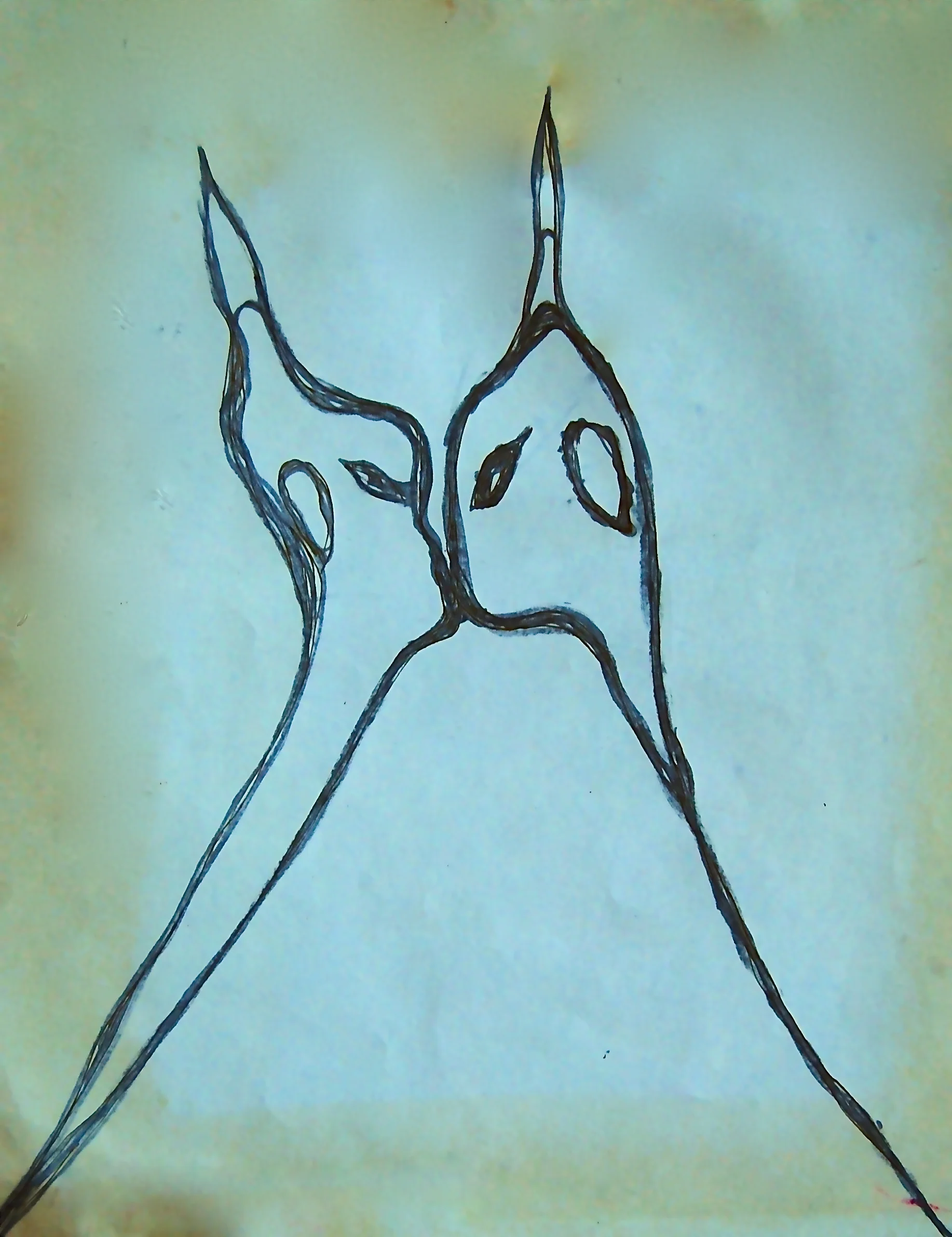 DSC_0804.jpg