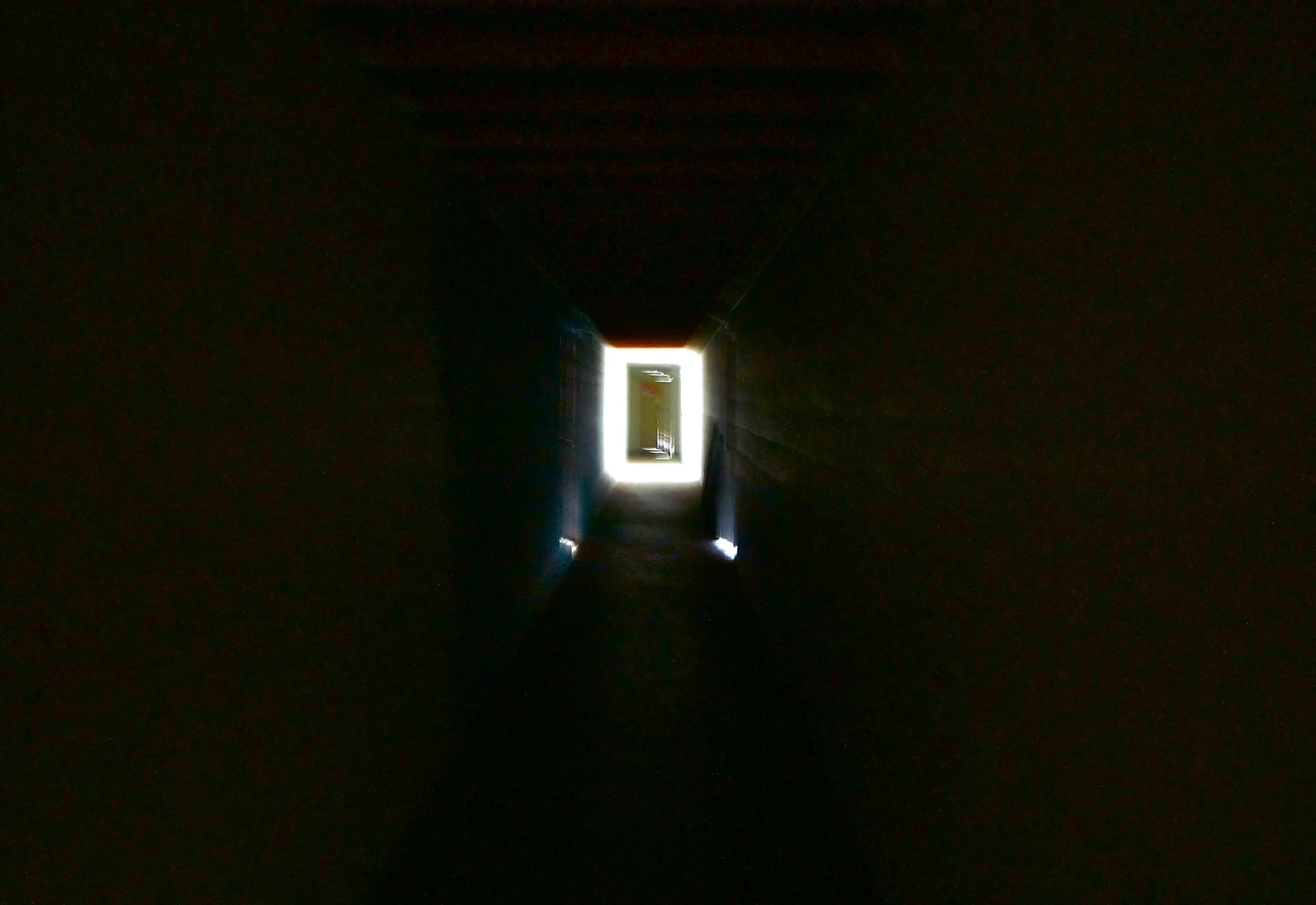 DSC03779.JPG