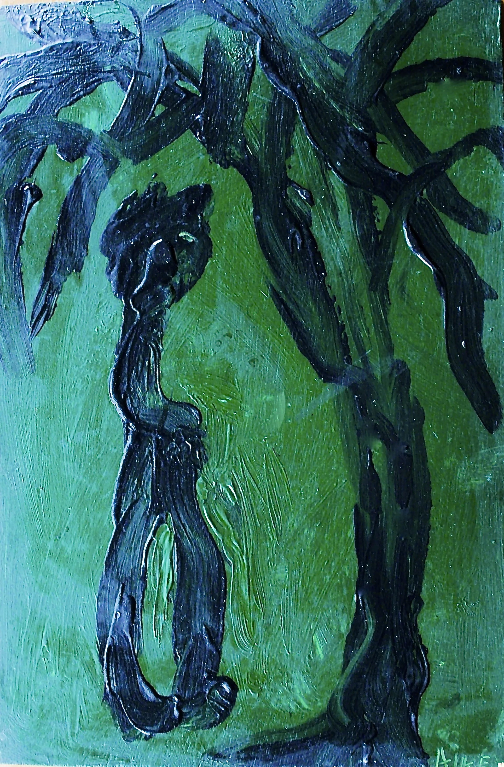 IMG_3628.jpg