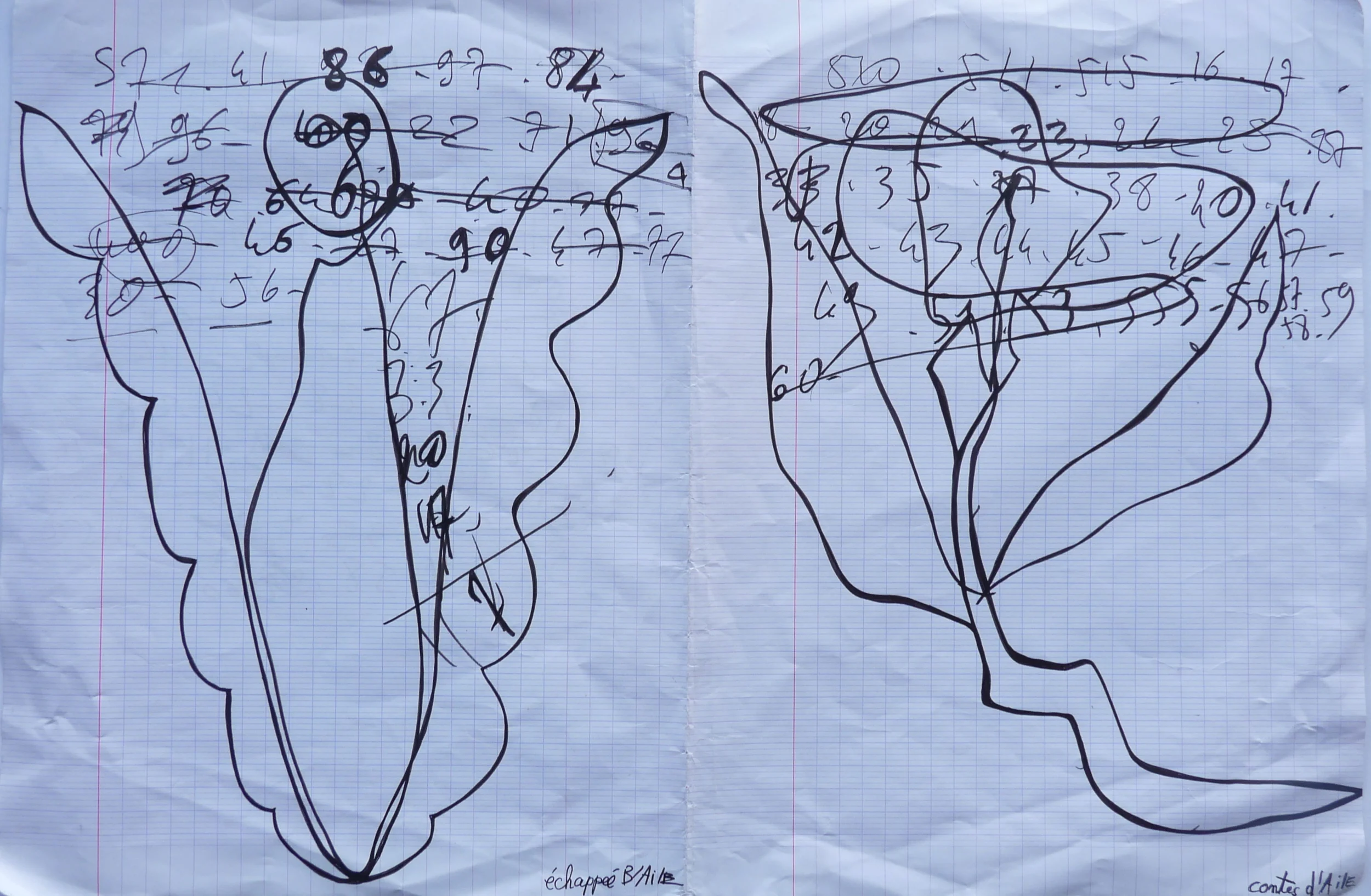 P1050136.JPG