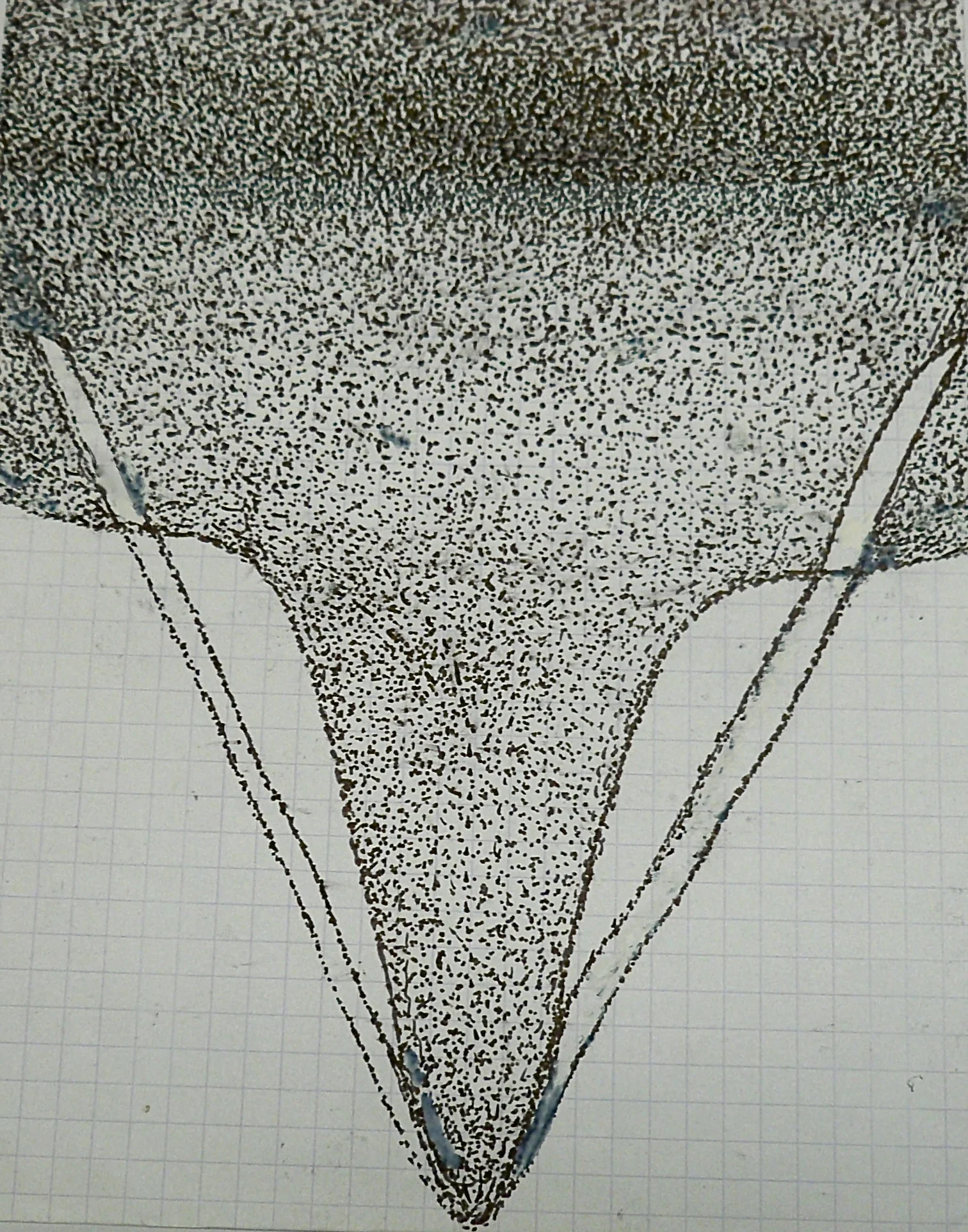 P1160112.jpg