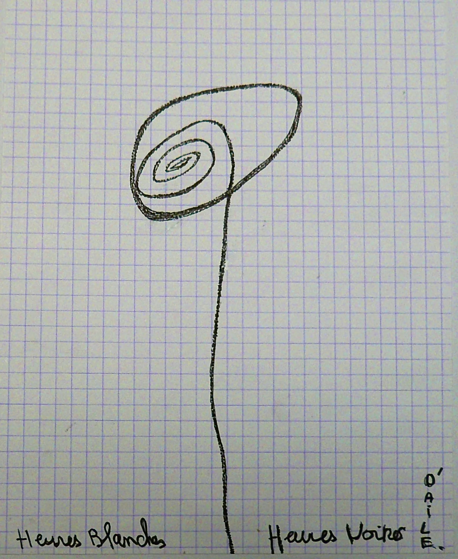 P1160114.jpg