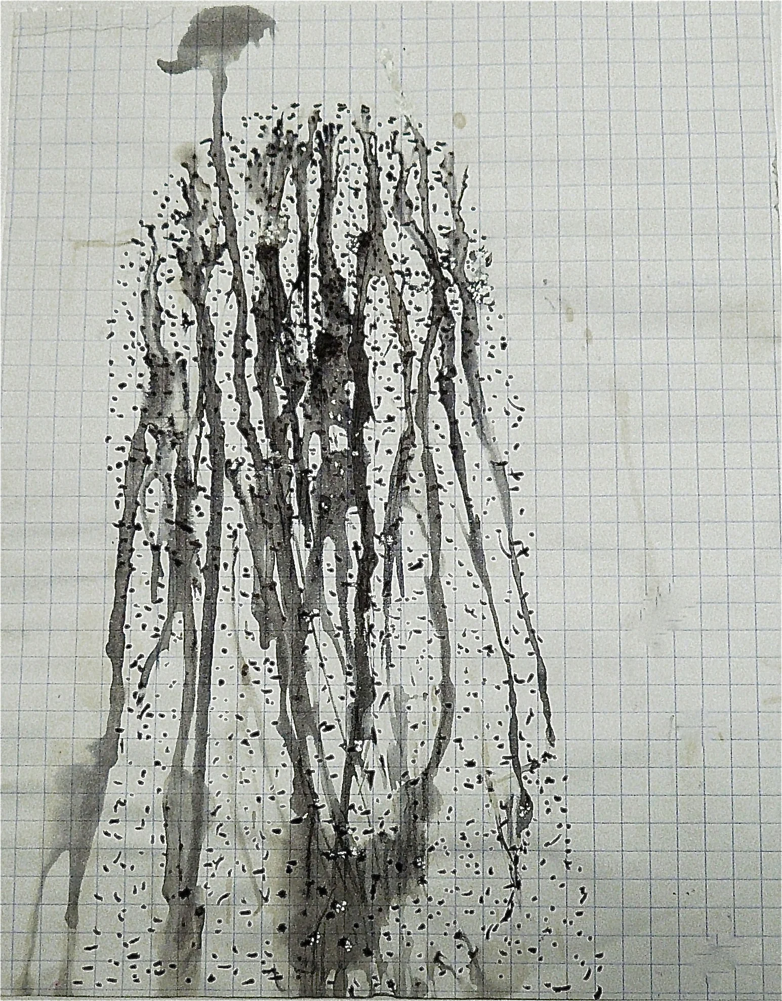 P1160116.jpg