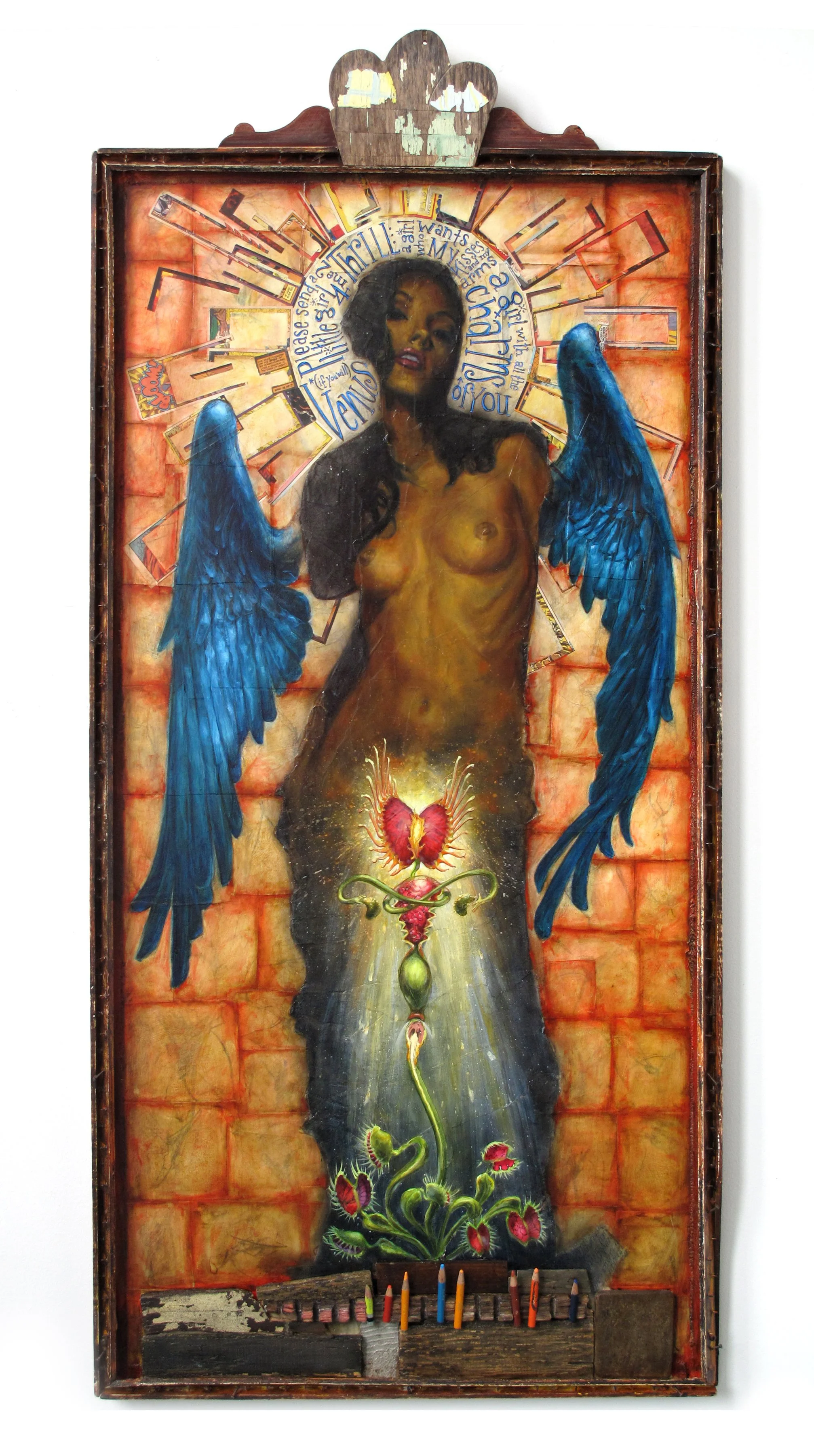 6-Venus Guy Trap.JPG