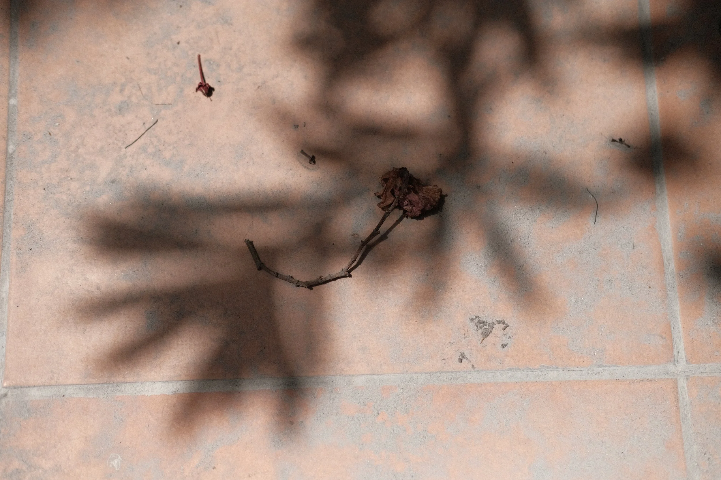 DSCF9794.JPG