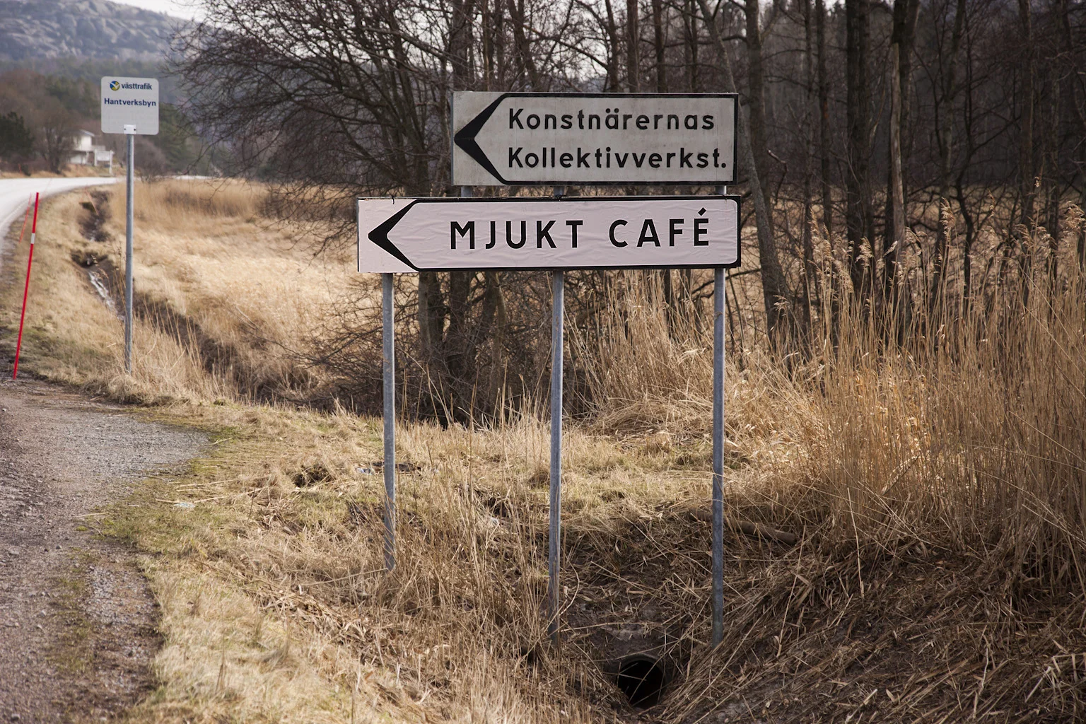 Inte bara bilder - en dag arrangerade jag café med mjuka kakor och varm gemenskap.